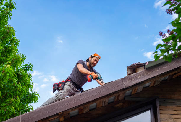 Best Storm Damage Roof Repair  in New Lexington, OH